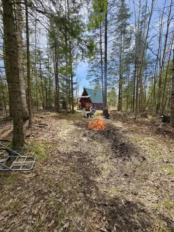 Picture 19