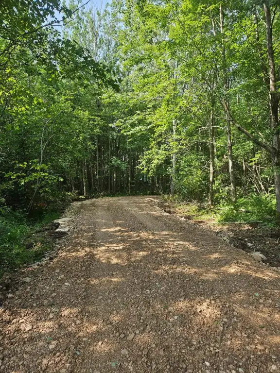 Picture 31