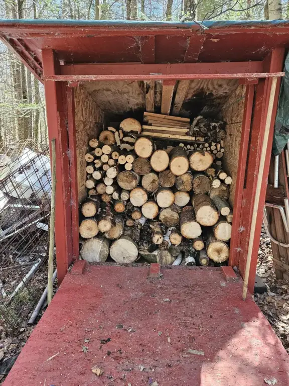 Picture 18
