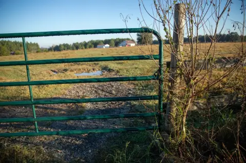 Turn-Key Cattle Farm/Estate Opportunity