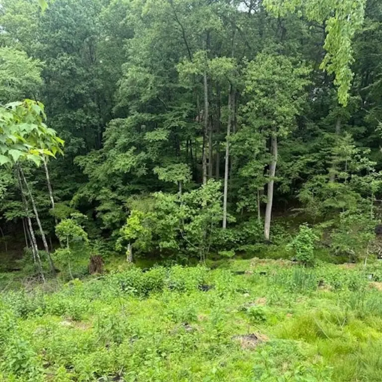 Picture 7