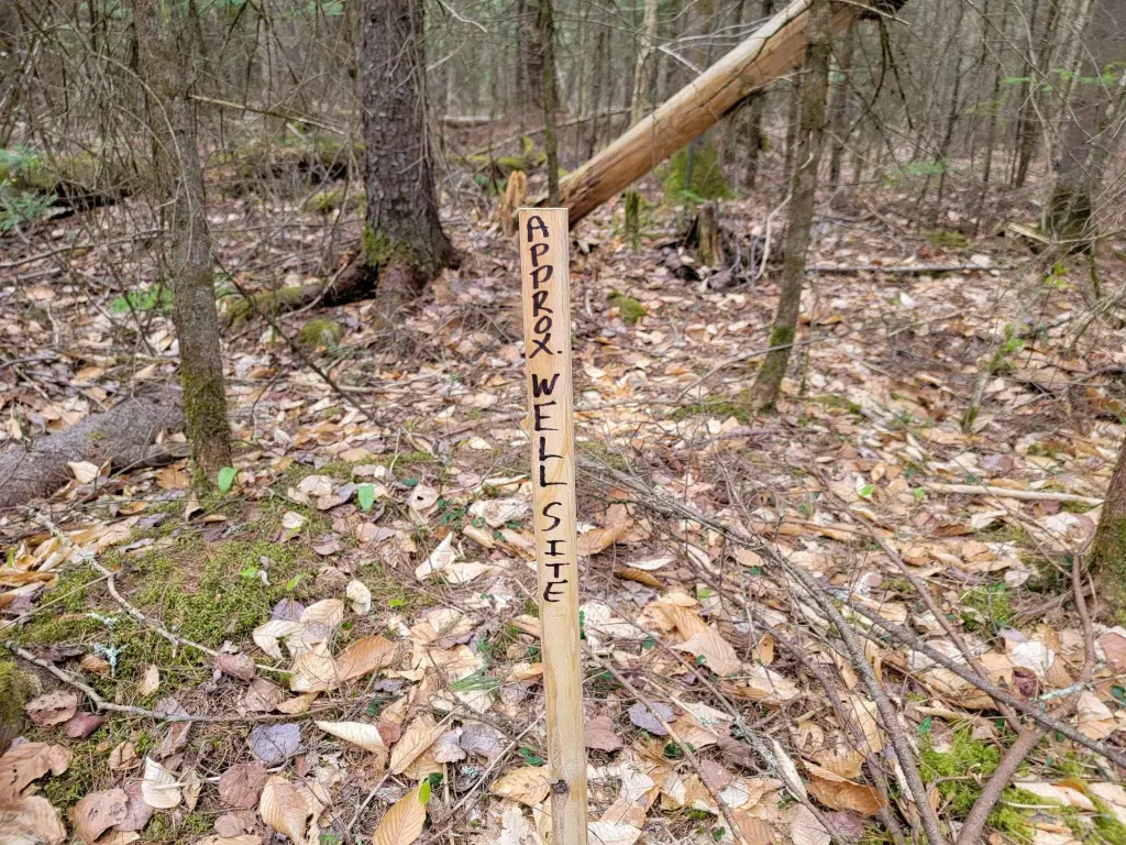 Picture 19