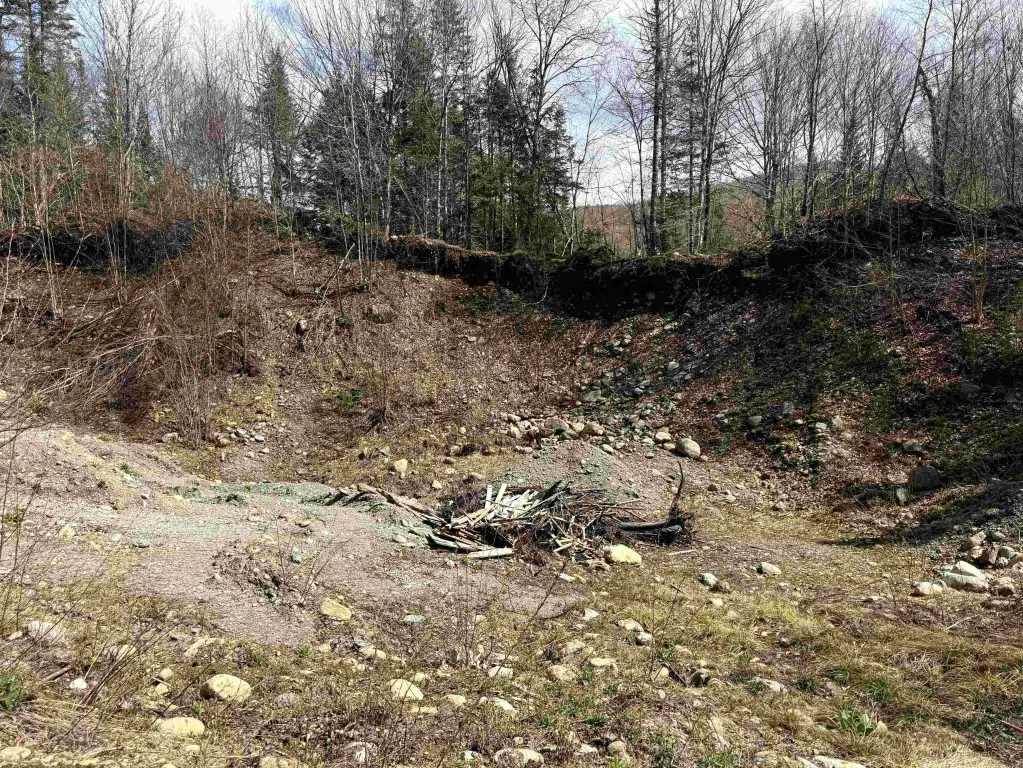 Picture 29
