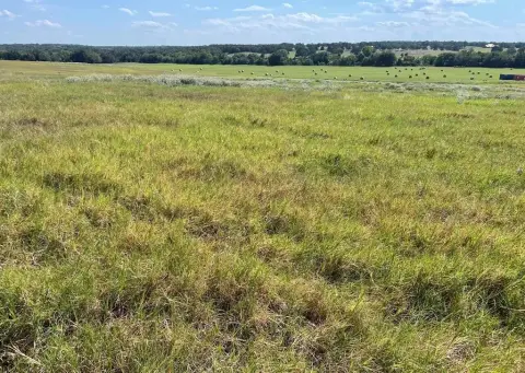 Land with Lush Coastal Bermuda