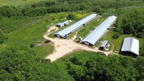 Profitable Broiler Farm in Okolona