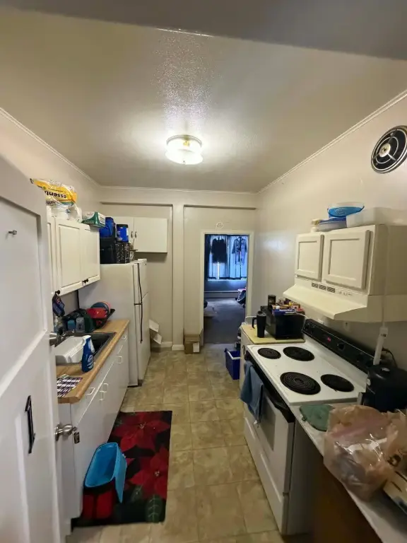 Picture 11