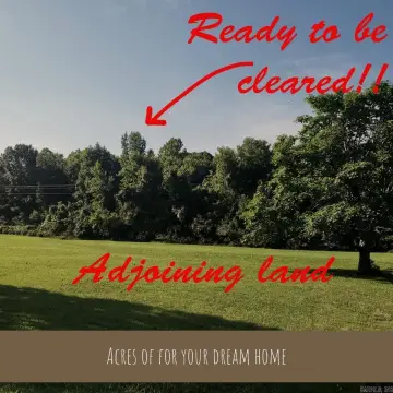 Wooded Lot Ready For Building