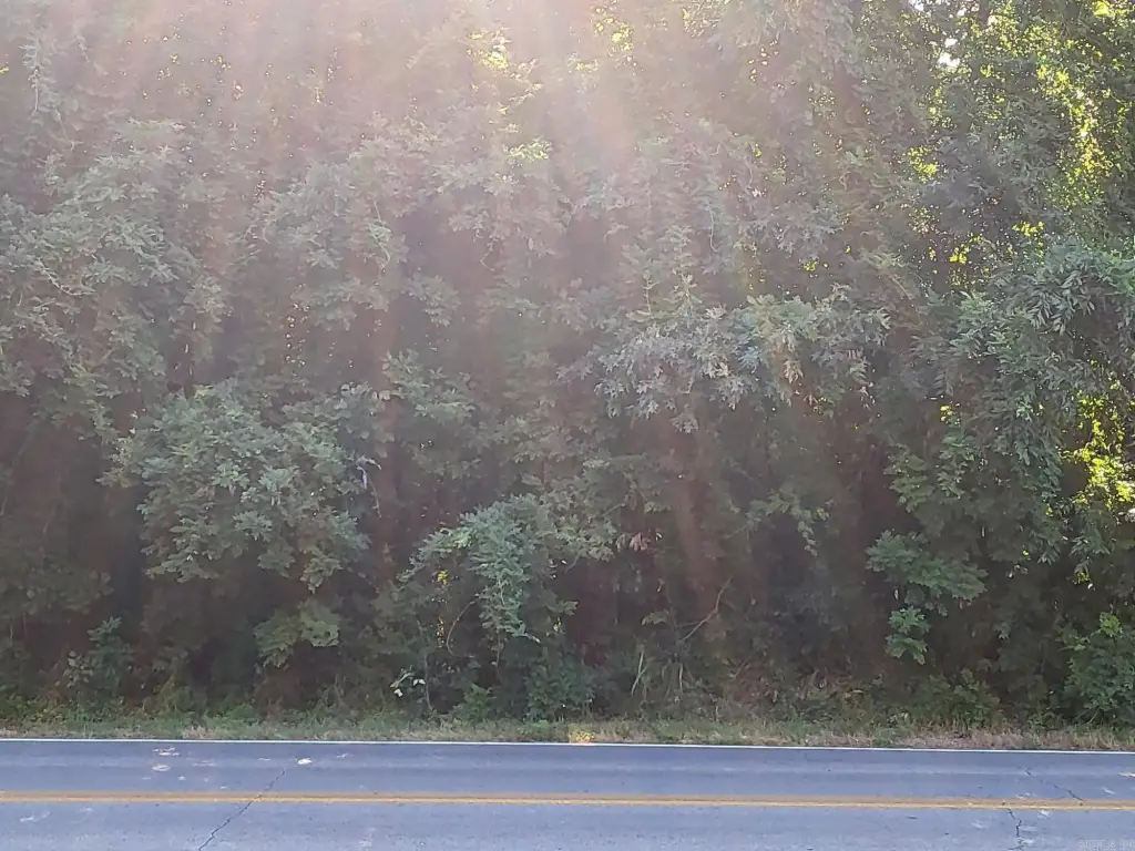 Picture 3