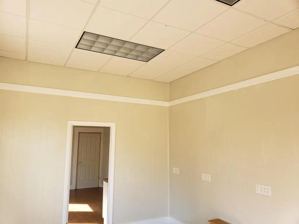 Picture 8