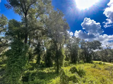 Secluded Agricultural Land Near DeLand