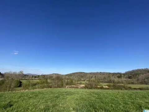 Springville Acreage: Build Your Dream