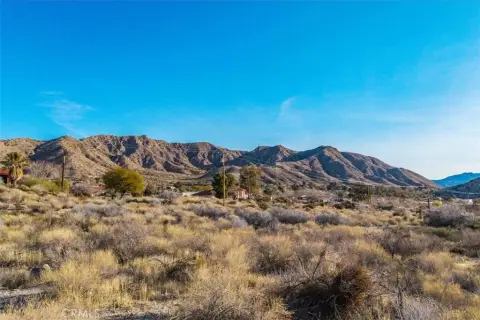 Morongo Valley 17-Acre Parcel