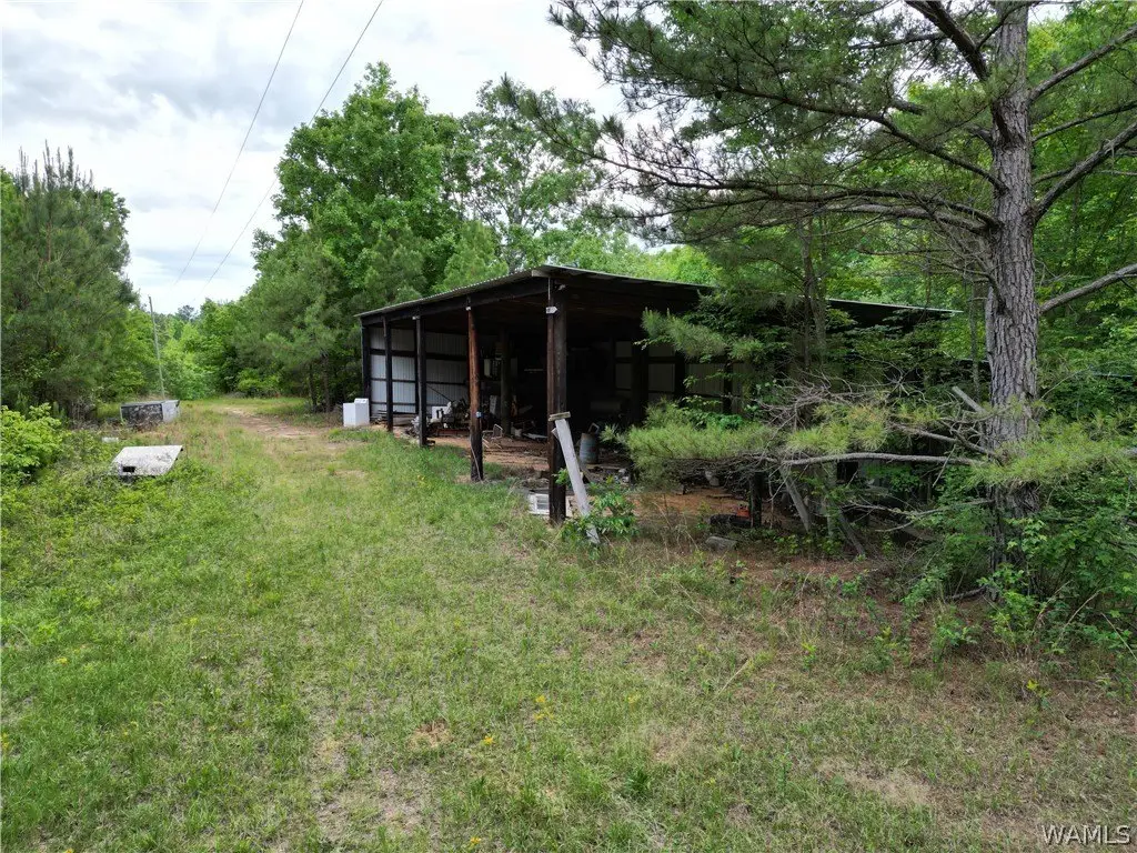Picture 11