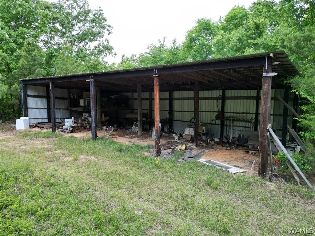 Picture 12