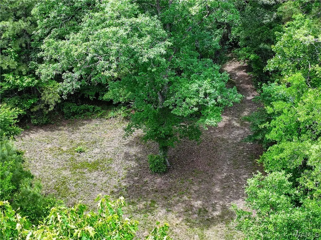 Picture 16