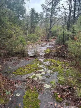 5-Acre Parcel in North Columbus