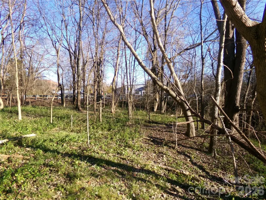 Picture 12