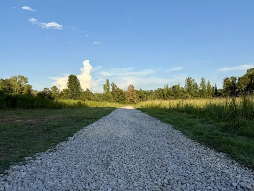 Picture 39