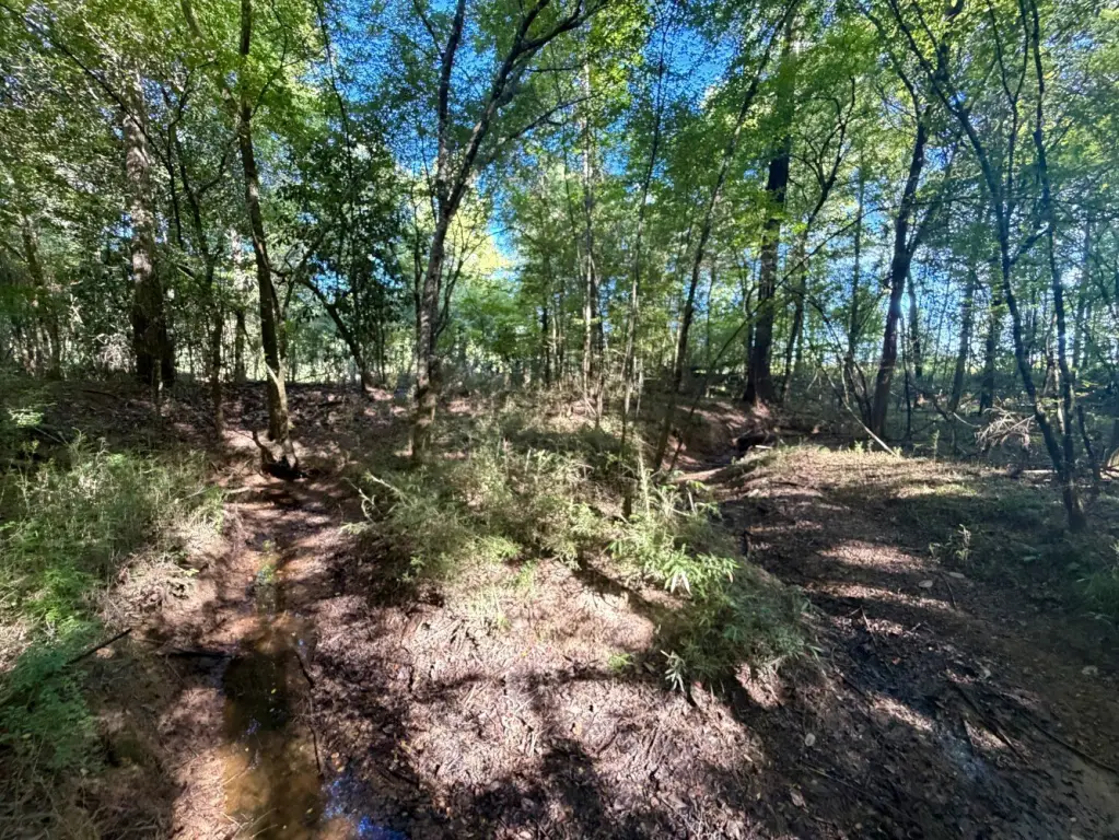 Picture 27