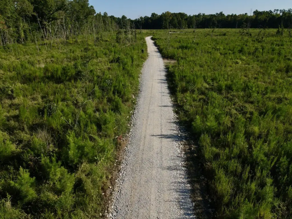 Picture 41