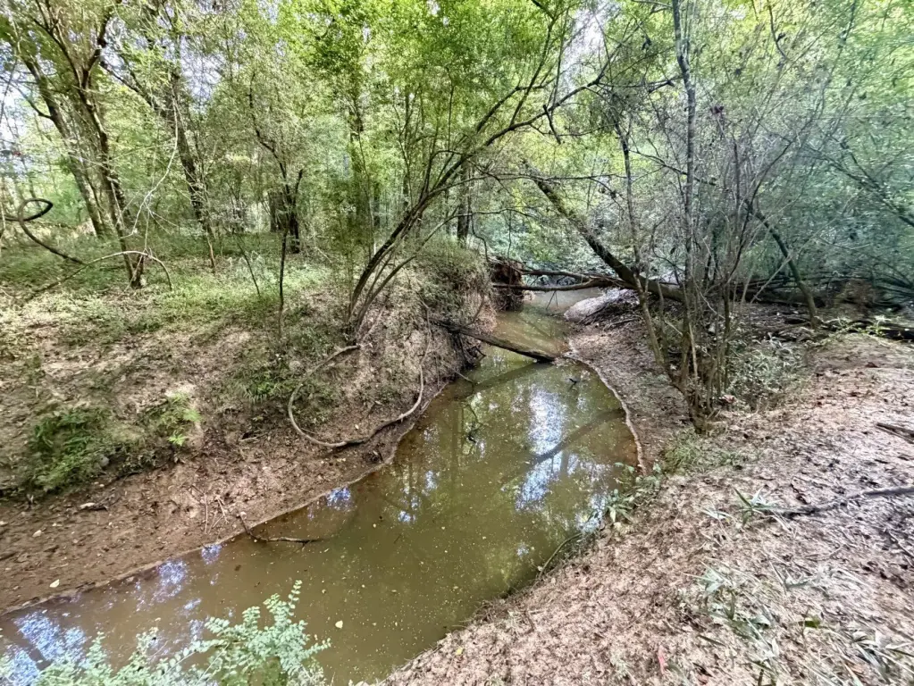 Picture 25