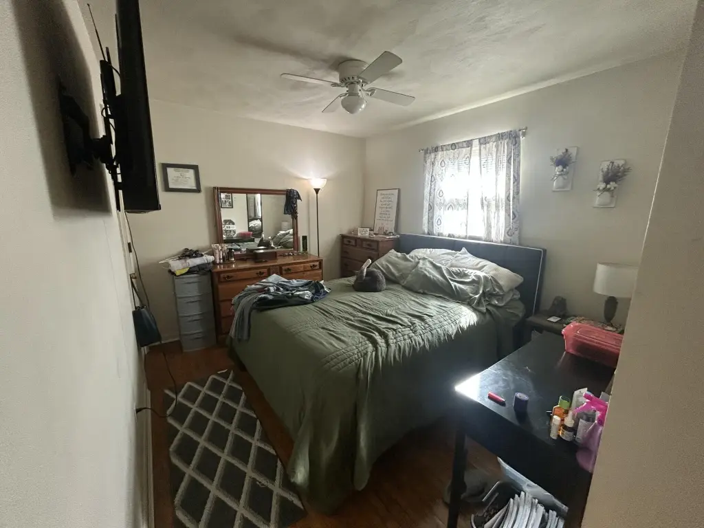 Picture 5