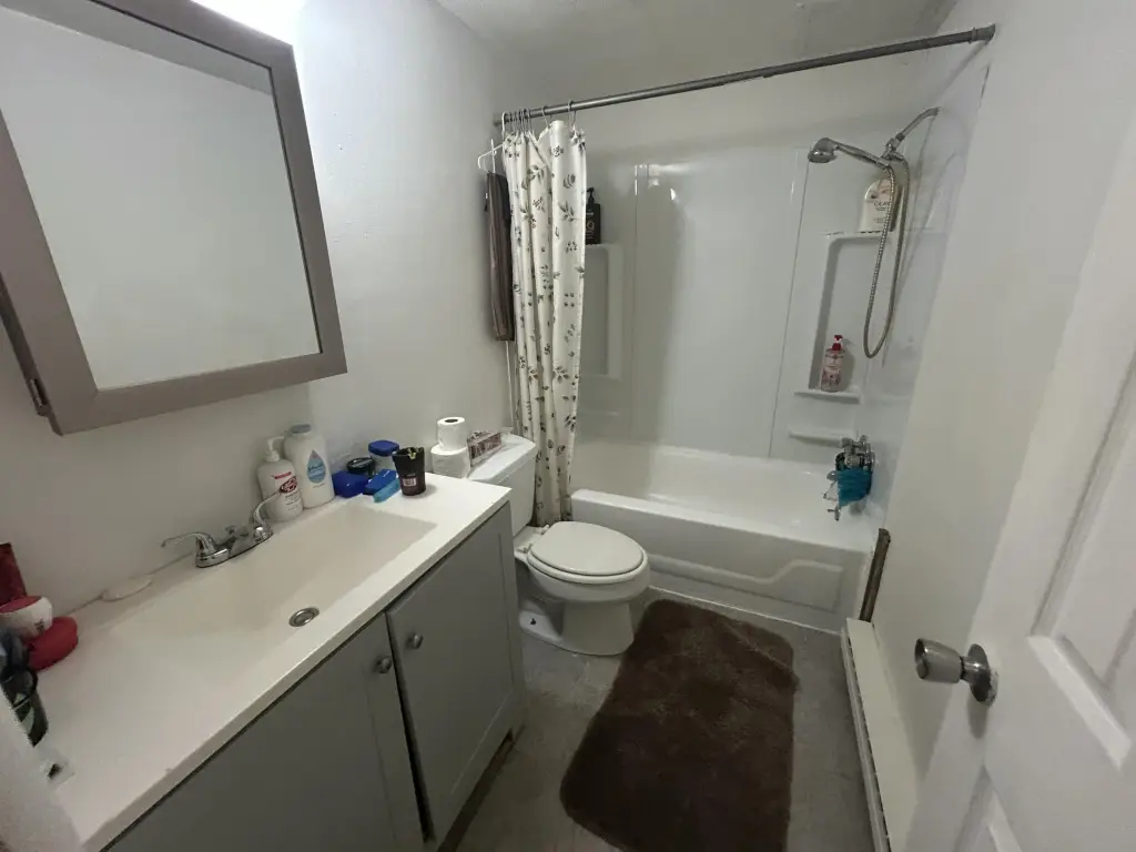 Picture 11