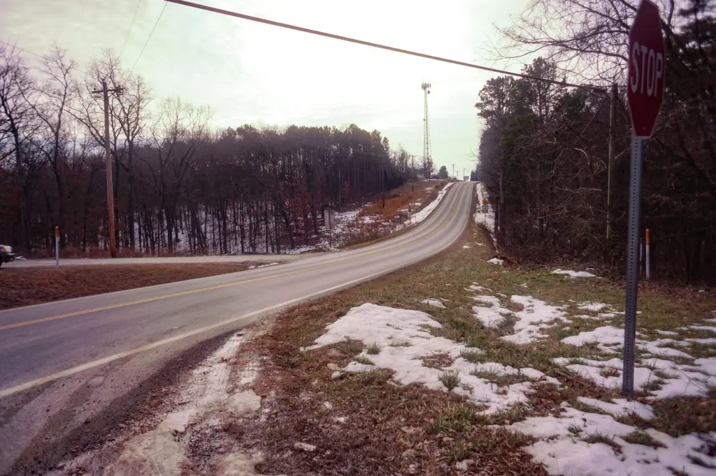 Picture 31
