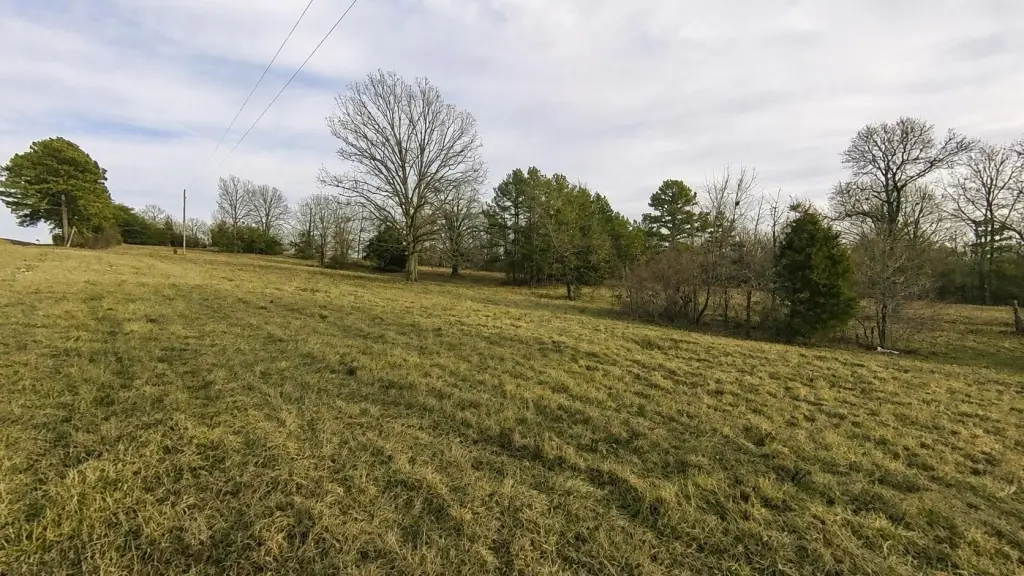 Picture 16