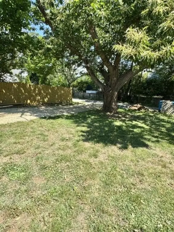 Picture 6