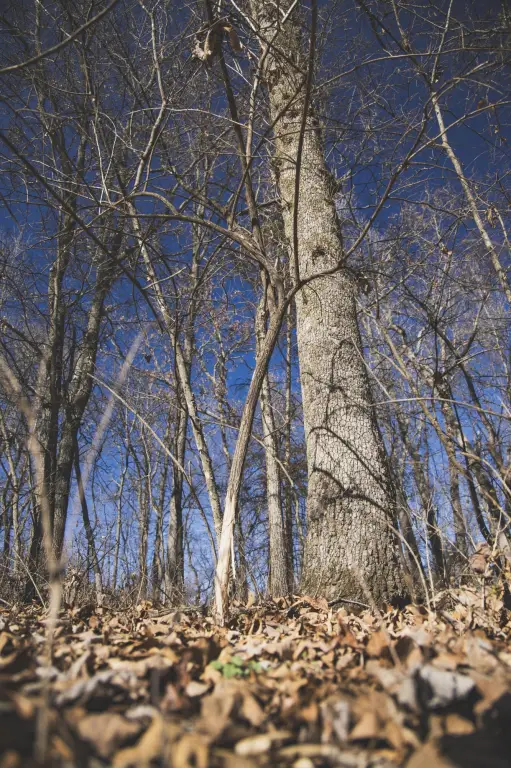 Picture 16
