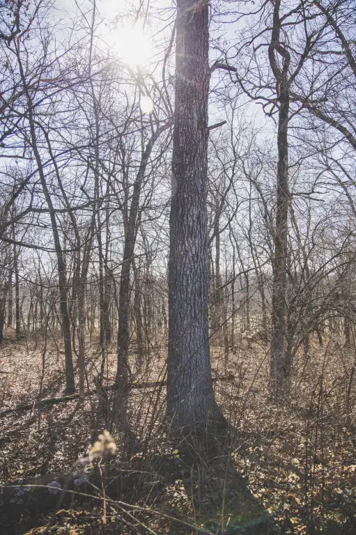 Picture 26