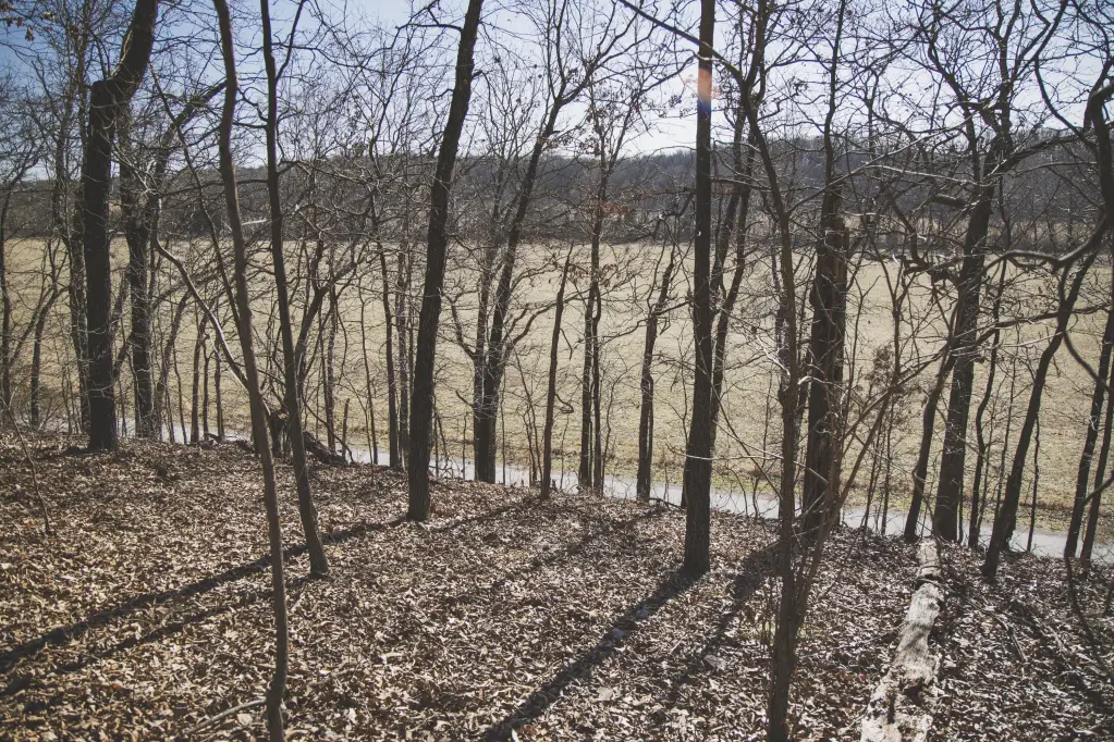 Picture 6