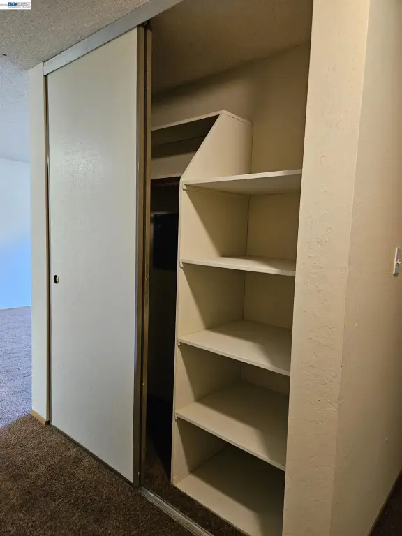 Picture 41