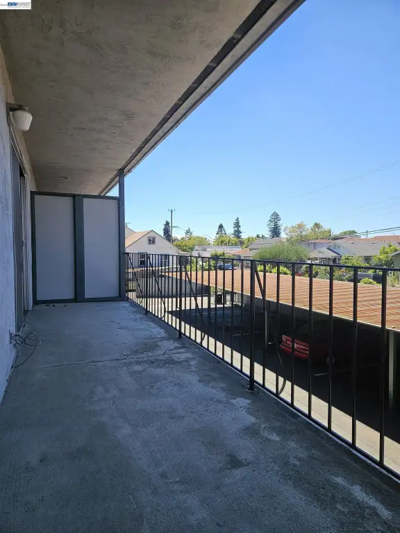 Picture 24
