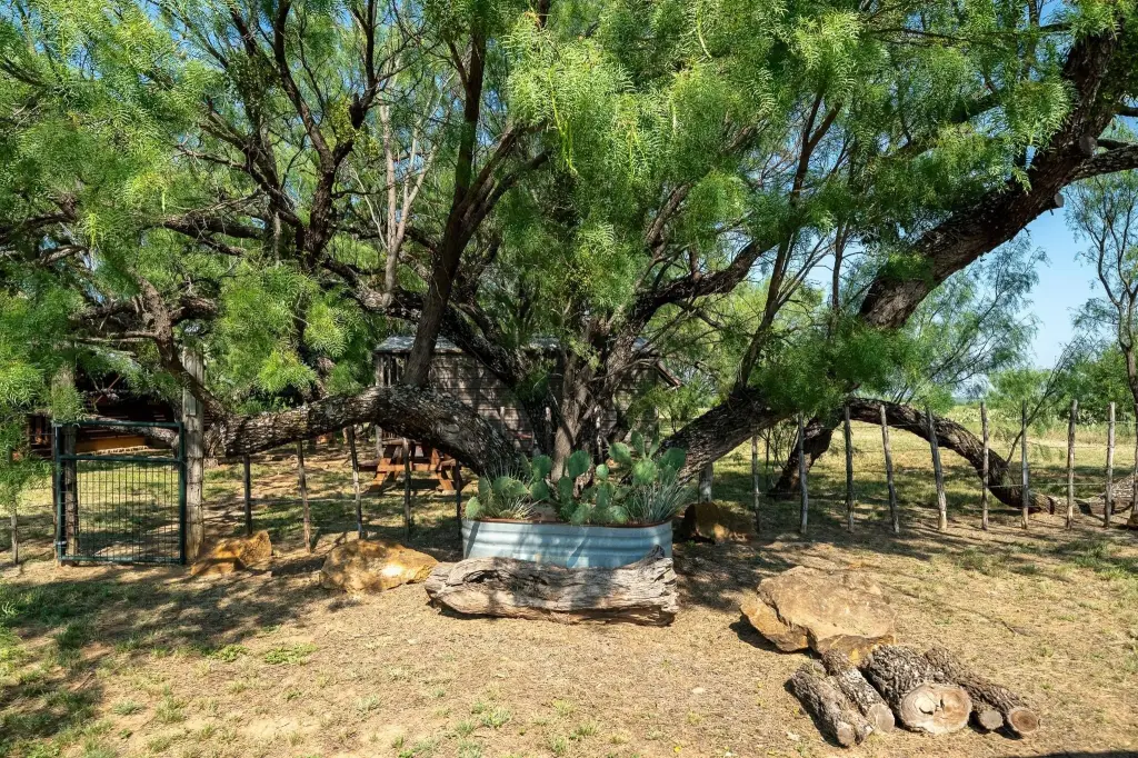 Picture 22