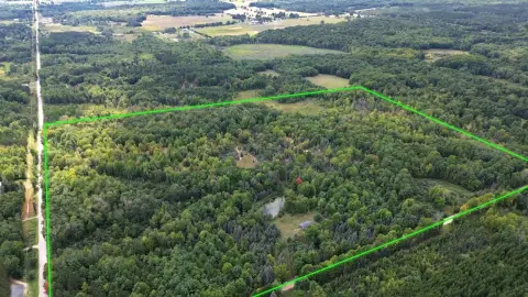 59-Acre Hunting Land in Reed City