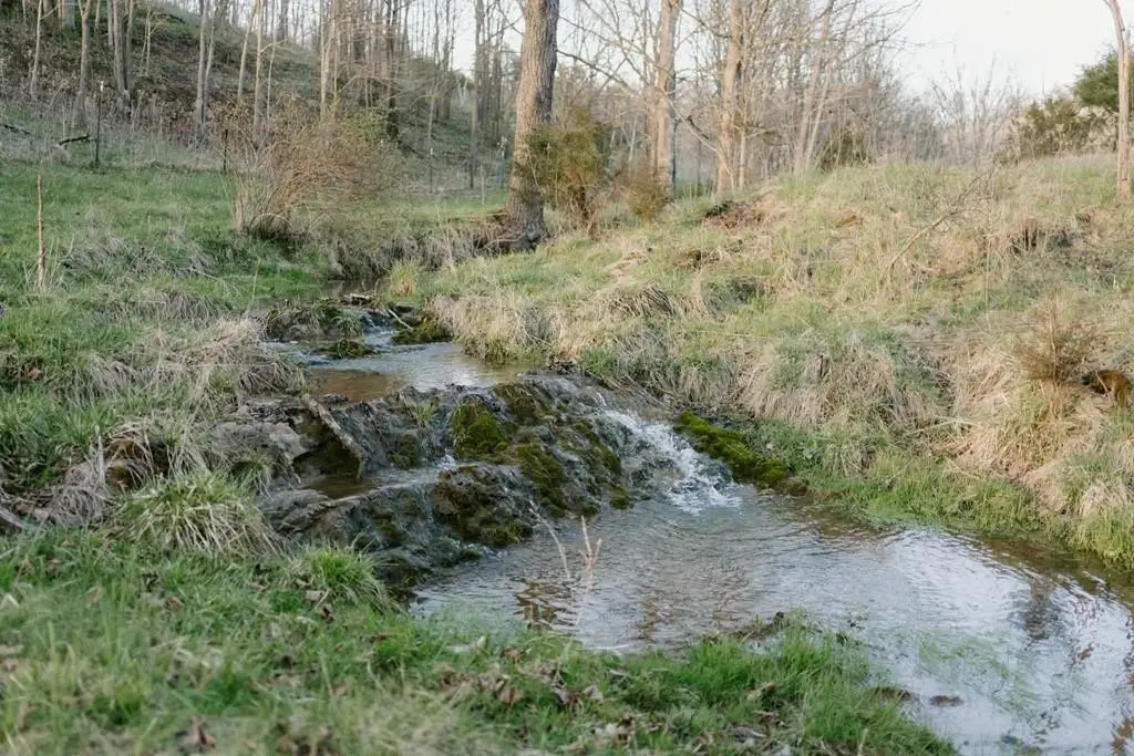 Picture 19