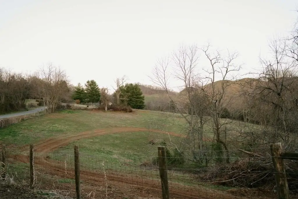 Picture 12