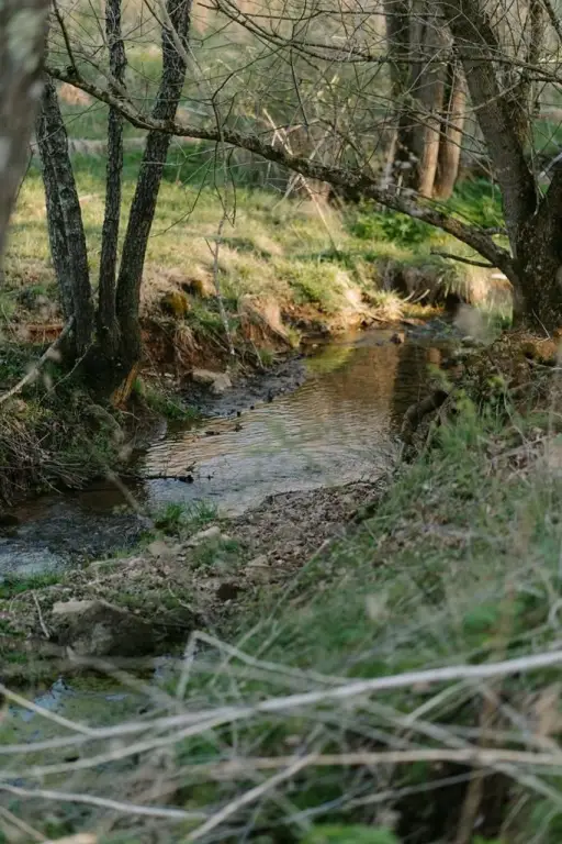 Picture 22