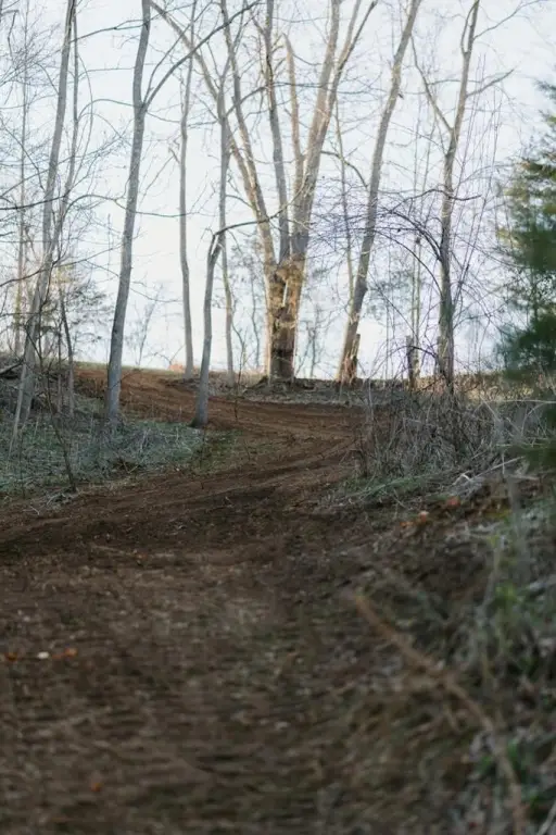 Picture 13