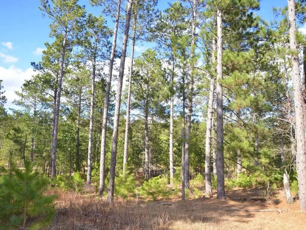 Picture 8