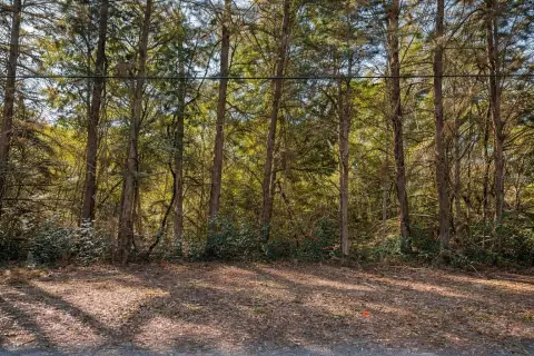 5-Acre Parcel Near Gainesville
