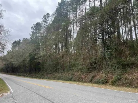 Mcdavid, Florida Wooded Land Tract