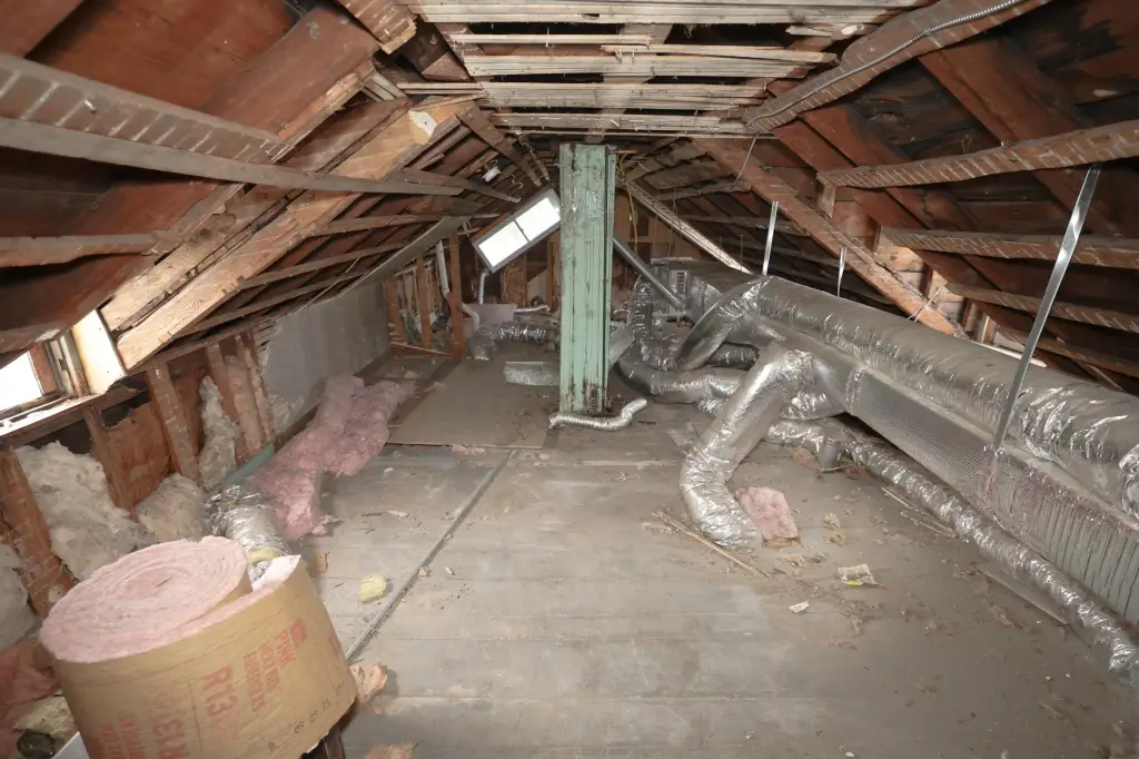 Picture 54