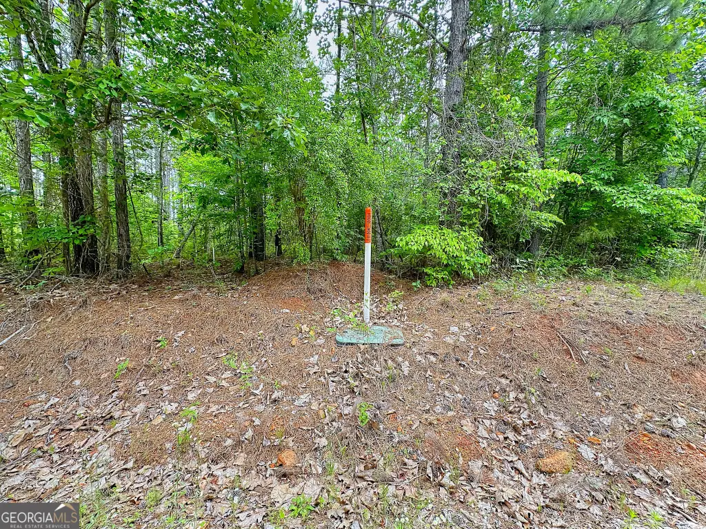 Picture 5