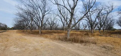 5 Acres in Quemado, TX