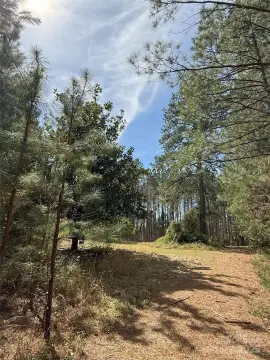 Land Opportunity in Chester, SC