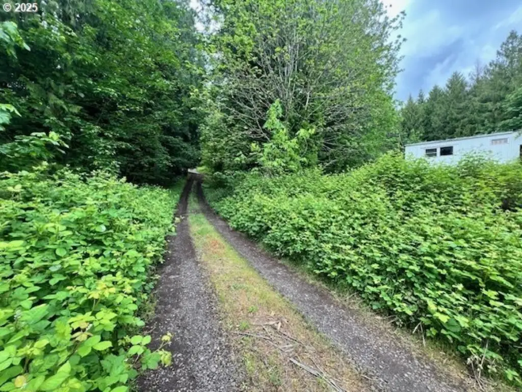 Picture 2