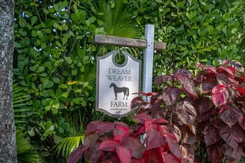 Equestrian Facility with 22 Stalls